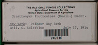 Image Associated With the Occurence